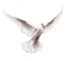 De Heilige Geest neerdalend als een duif