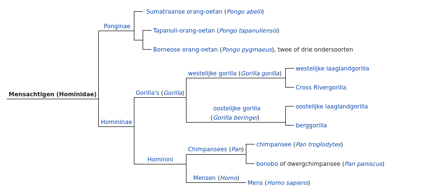 Hominidae - Wikipedia (screenshot)